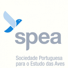 SPEA| Relatório de Atividades 2021-22