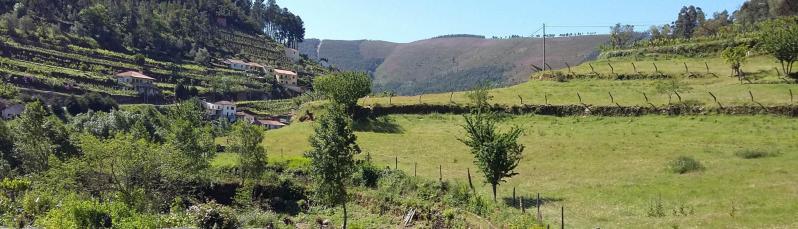 Aviso 2019 - Educar para o Território