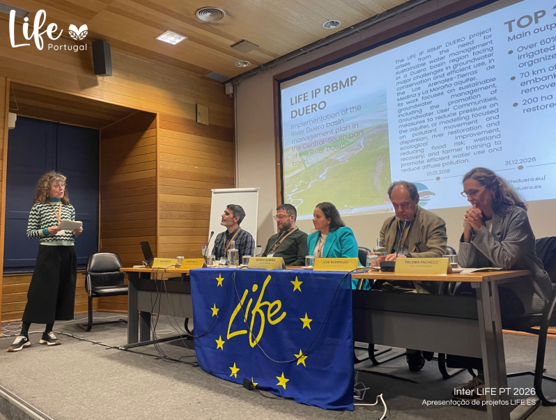 Painel - Projetos ES