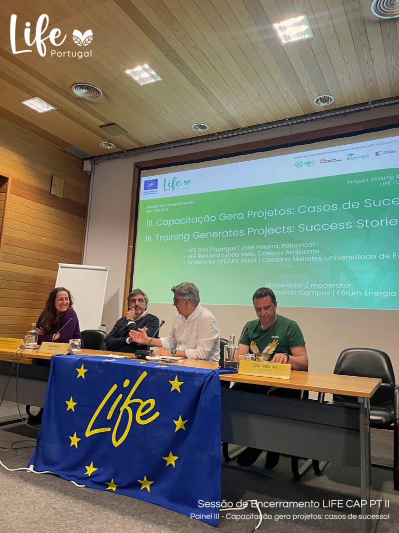 Painel III - capacitação gera projetos: casos de sucesso