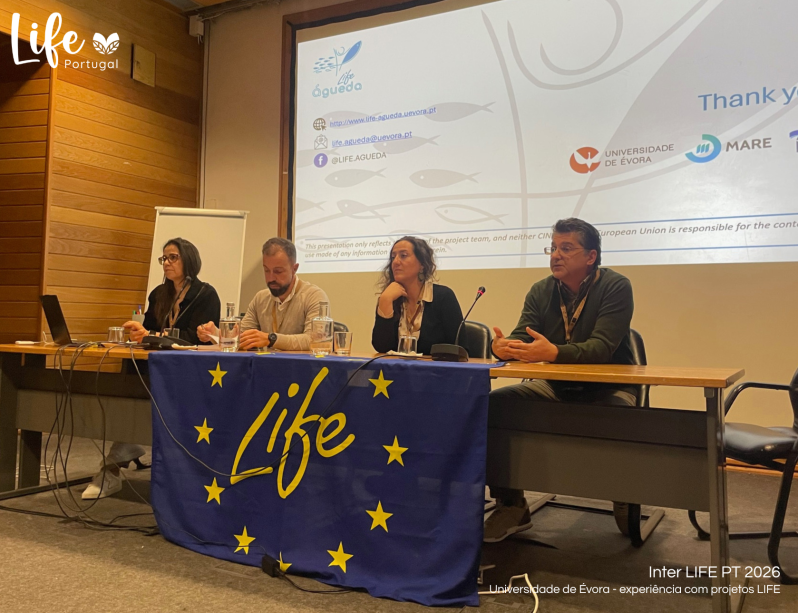 Painel - Universidade de Évora: experiência com projetos LIFE