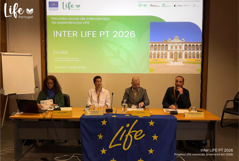 Painel - Projetos LIFE a terminar em 2026