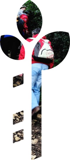 Princípios