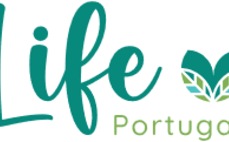 life portugal logo