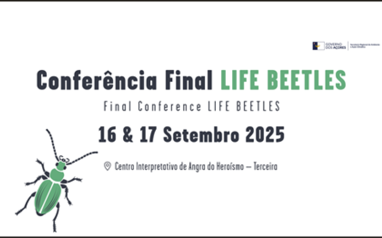 Conferência Life Beetles