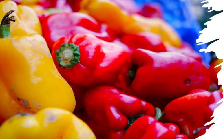 Prevenir o desperdício na Europa – Progressos e desafios, com destaque para o desperdício alimentar
