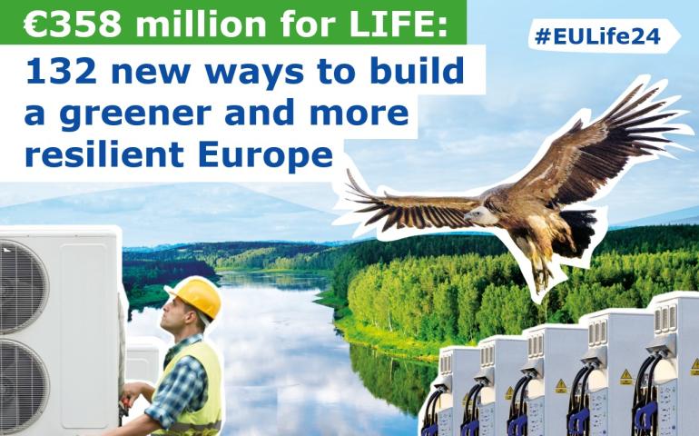 Resultados Call 2024