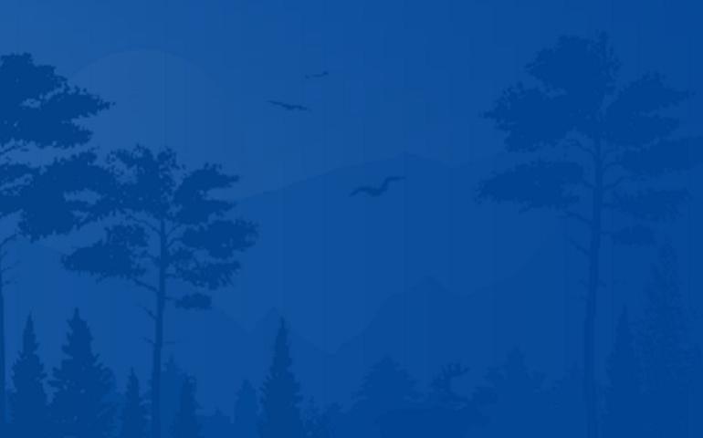 2021 novo site