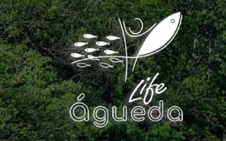 LIFE AGUEDA