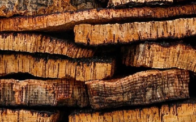 cork 2000 400