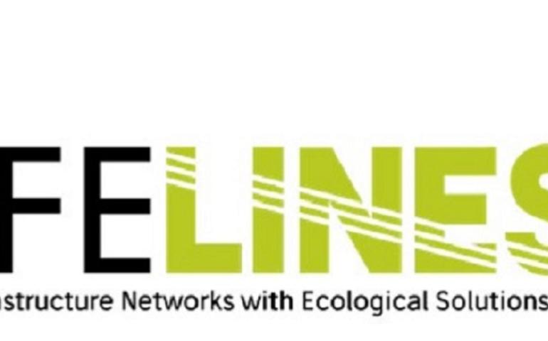 life lines 2000 458