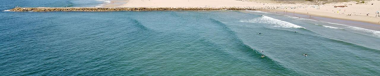 Banner Alimentação Artificial Costa da Caparica