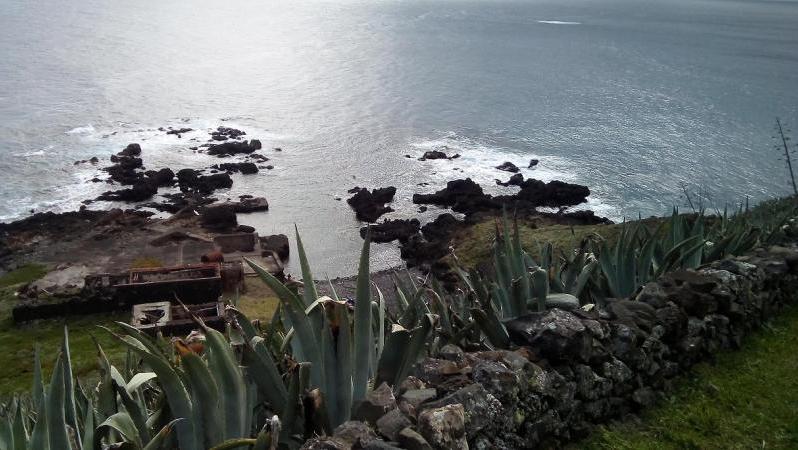 área de intervenção - Ponta do Castelo