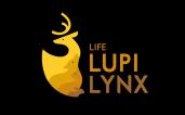 logo lupi lynx