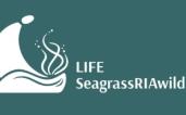 logo seagrass riawild