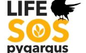logo SOS pygargus