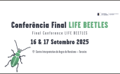 Conferência Life Beetles