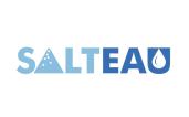 Salteau logo