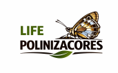Polinizacores