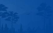 2021 novo site