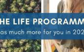 life banner 2021 2000 400