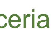 parceiros LIFE 2   2000 400