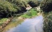 ECORIVER