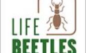 LIFE BEETLES