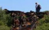 LIFE Habitats Conservation