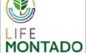 LIFE MONTADO ADAPT AMS