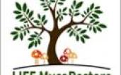 LIFE MycoRestore