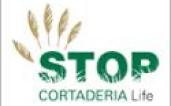 LIFE STOP Cortaderia