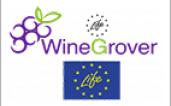 LIFE WINEgROVER