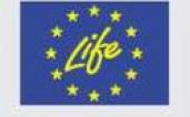 LIFE
