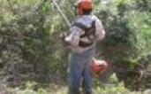 NORTENATUR