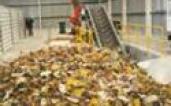 WASTE