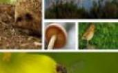 lifeBiodiscoveries