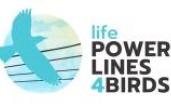 logo powerlines4birds