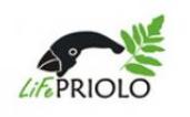 priolo