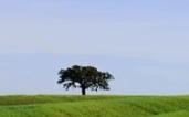 alentejo 200 202