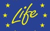 life 100 99