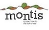 montis 100 95