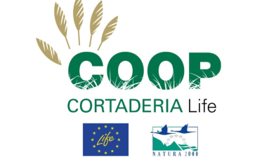 Lopgótipo LIFE Coop Cortaderia