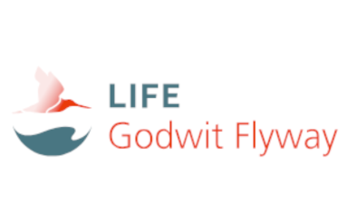 Logótipo LIFE Godwit Flyway