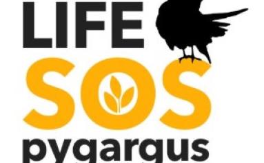 logo SOS pygargus