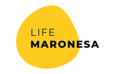 logo maronesa