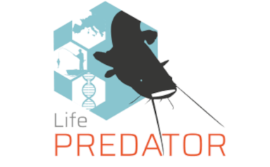 Logótipo LIFE Predator