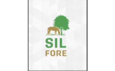 Logótipo SilFore