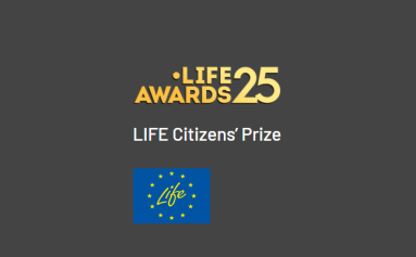 life_awards