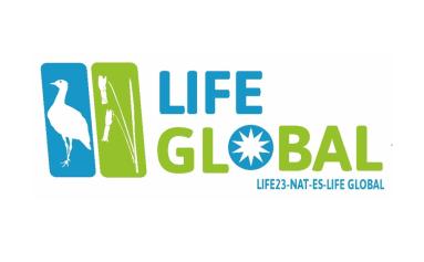 Life Global logo